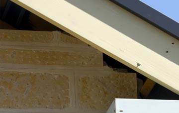 soffit repair Bennecarrigan