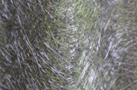 Bennecarrigan fibreglass roof work